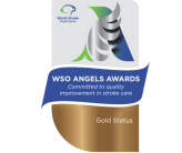 World Stroke Organisation (WSO) Angels Awards 2025 - Gold Award (Q2)